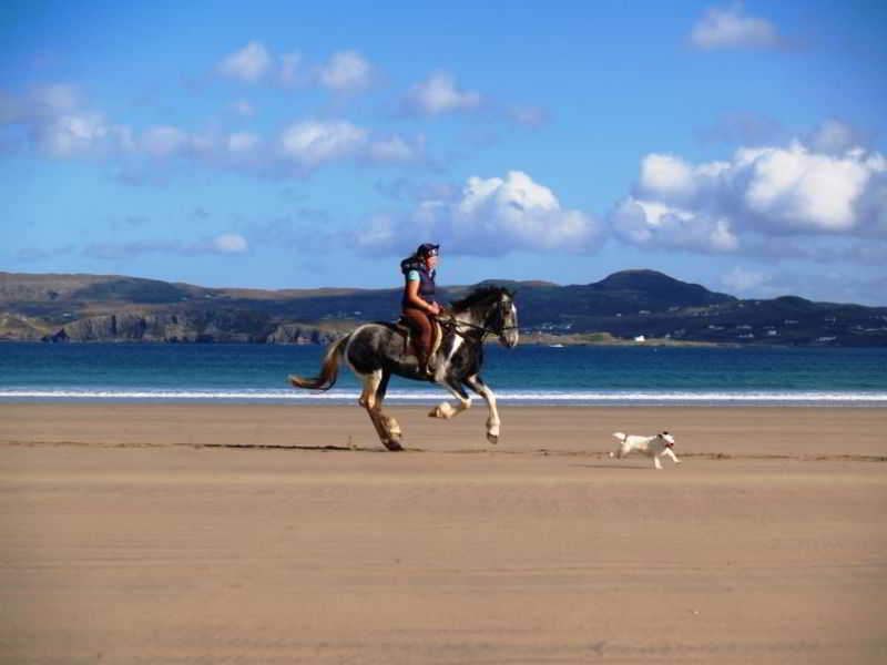 Arnolds Hotel Dunfanaghy Dış mekan fotoğraf
